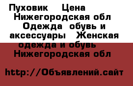 Пуховик. › Цена ­ 2 000 - Нижегородская обл. Одежда, обувь и аксессуары » Женская одежда и обувь   . Нижегородская обл.